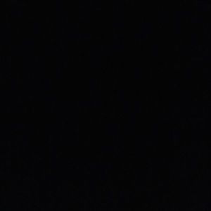 Meet your Posher, Nina