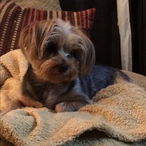 Meet your Posher, Brandy