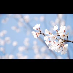 Meet your Posher, Violet