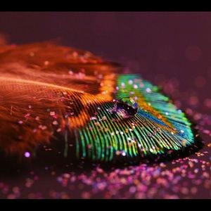 Meet your Posher, Audrey