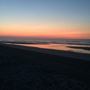 Meet your Posher, Alana