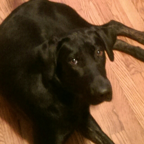 Hi everyone and thanks for stopping by!!! - Picture 4 of 4