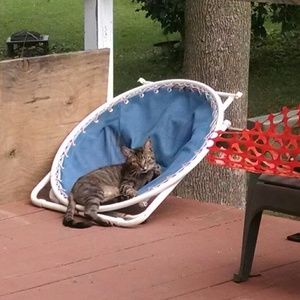 Meet your Posher, Bobbie jo