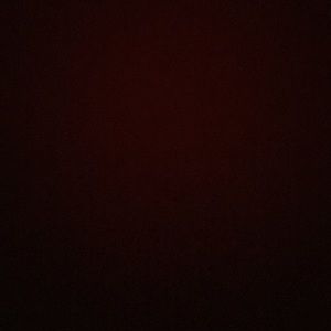 Meet your Posher, Ann