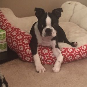 Meet your Posher, Tatyana