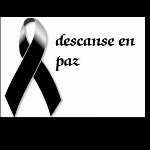 Meet your Posher, Reyna