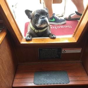 Meet your Posher, Sonja