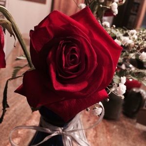 Meet your Posher, Meg