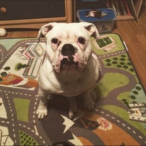 Meet your Posher, Dawn