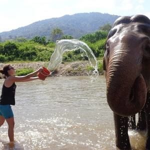 Meet your Posher, Allison