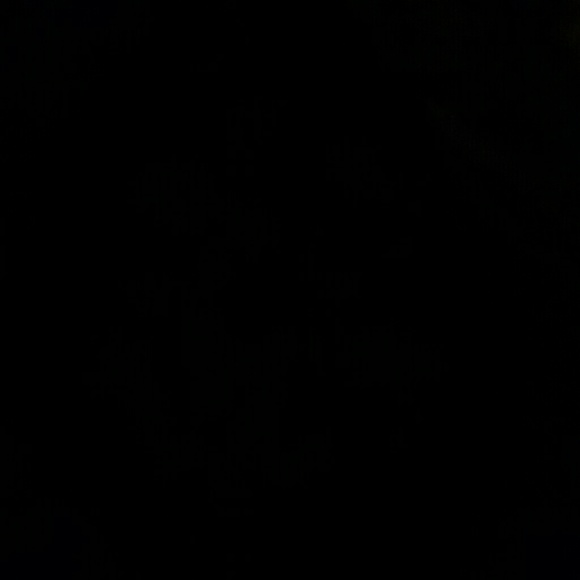 Meet your Posher, Stacy - Picture 1 of 1