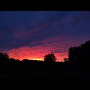 Meet your Posher, Lydia