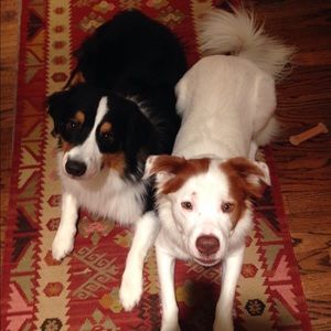 Meet your Posher, Kate