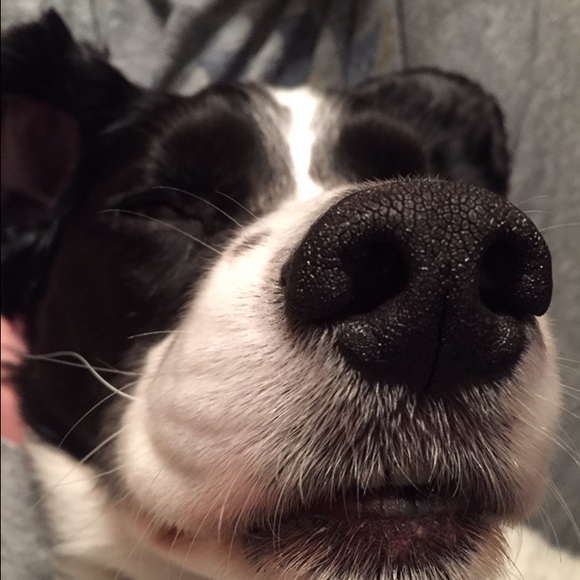 Meet your Posher, Kate - Picture 1 of 1