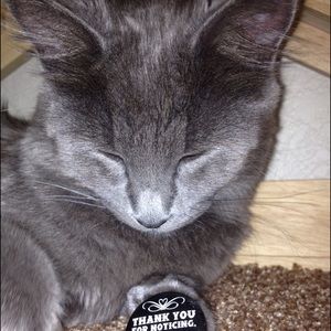 Meet your Posher, Alaska