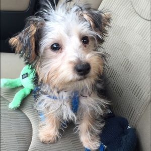 Meet your Posher, Mary