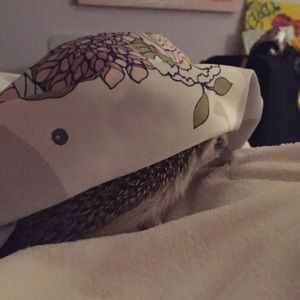 Meet your Posher, Alyssa