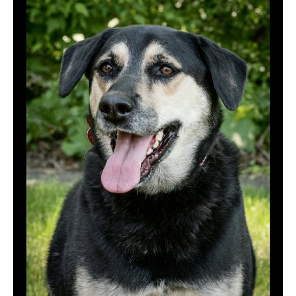 Meet your Posher, Cindy - Picture 2 of 8
