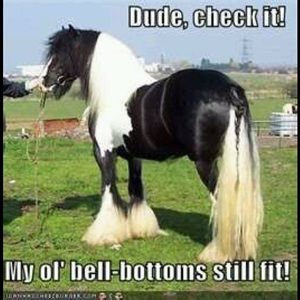 NOT FOR SALE!   PRICELESS!!!