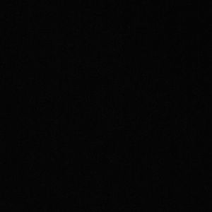 Meet your Posher, Dolores