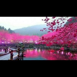 Meet your Posher, Britt