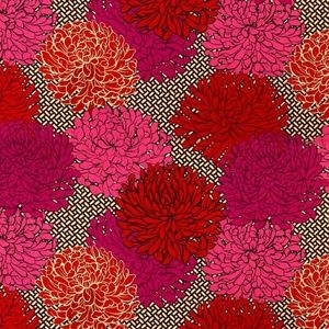 Meet your Posher, Desiree