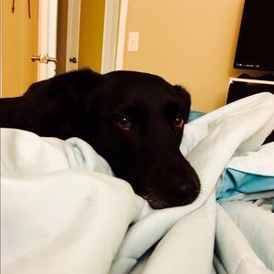 Meet your Posher, Natasha