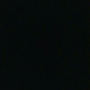 Meet your Posher, Bernadette