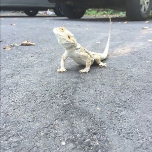 Meet your Posher, Evan