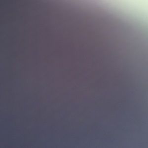 Meet your Posher, Whitney