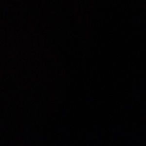 Meet your Posher, Priscilla