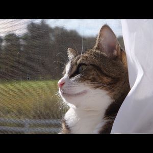 Meet your Posher, Wendy