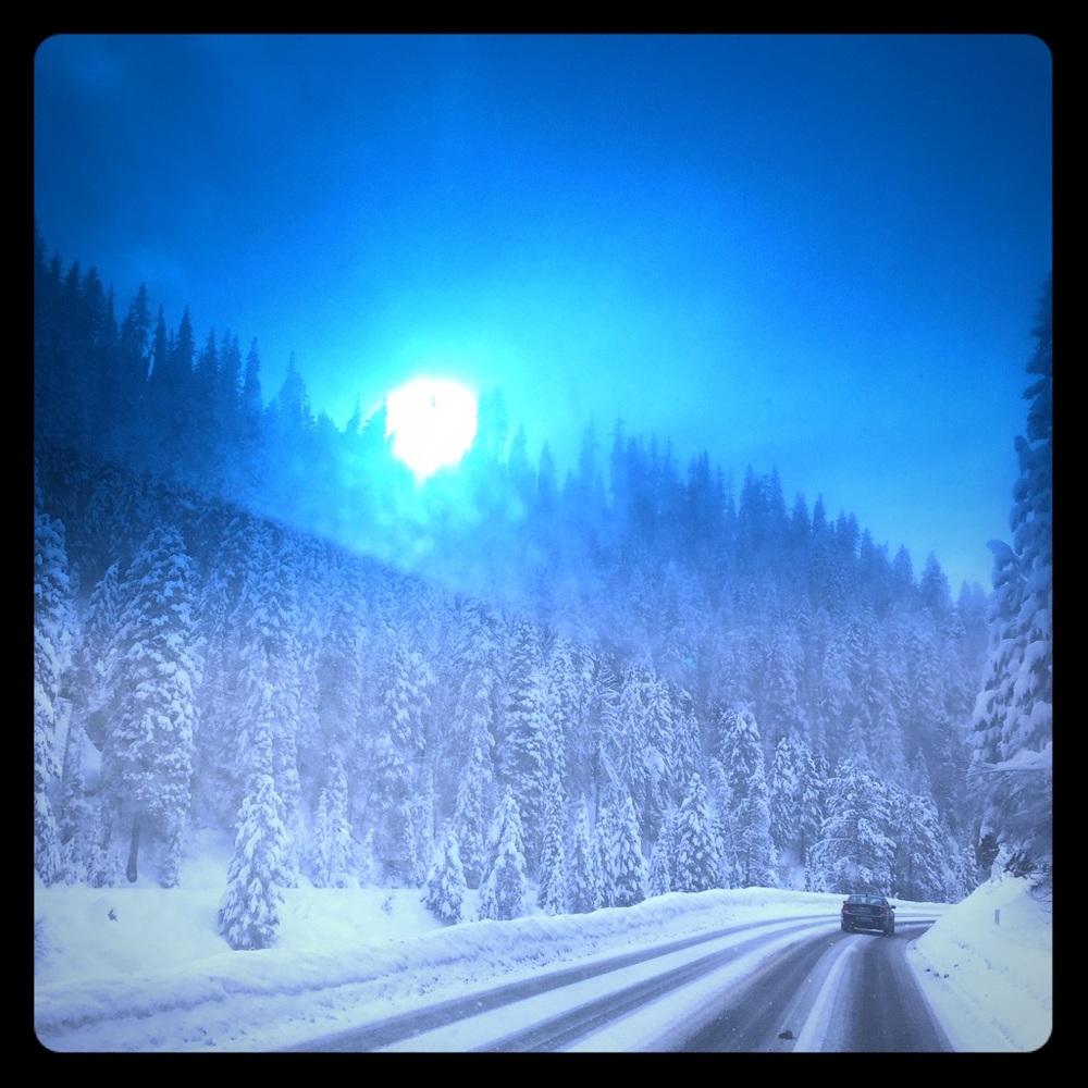 Meet your Posher, Teresa