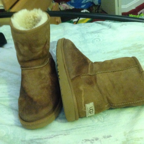 chestnut uggs