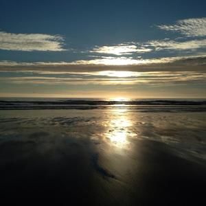 Meet your Posher, Gregory