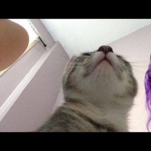 Meet your Posher, Jillian