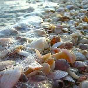 Meet your Posher, Kathryn