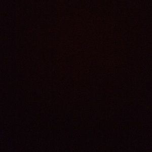 Meet your Posher, Janelle