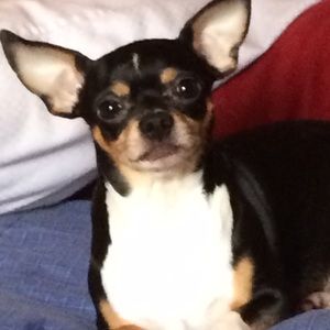 Meet your Posher, Marion