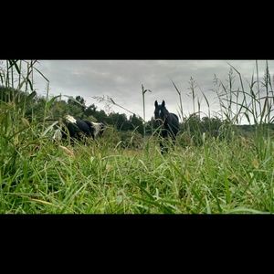 Meet your Posher, Becky