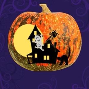 Meet your Posher, Connie