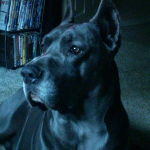 Meet your Posher, Patty