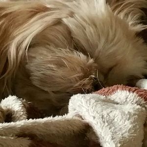 Meet your Posher, Jen