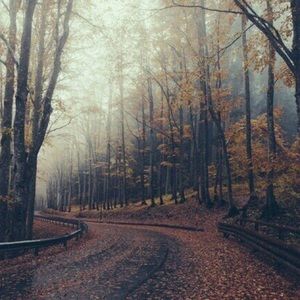 Meet your Posher, Angelica