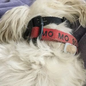 Meet your Posher, Tamara