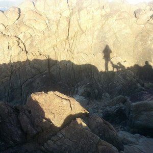 Meet your Posher, Ericka