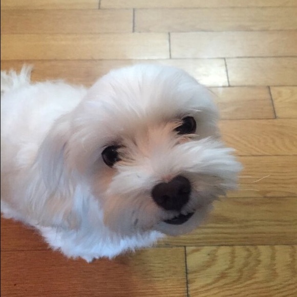 Meet your Posher, Myungsun - Picture 1 of 1