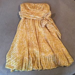 BCBG Silk Dress