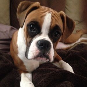 Meet your Posher, Carly