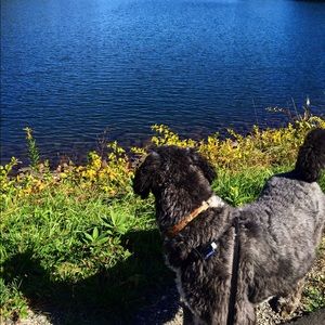 Meet your Posher, Jamie